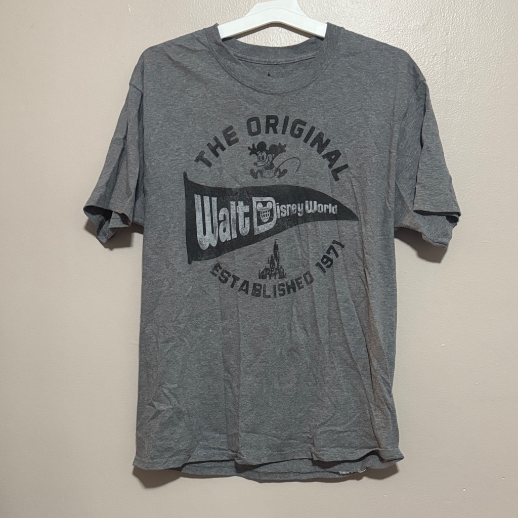 Disney Gray Walt Disney World Graphic Tee
